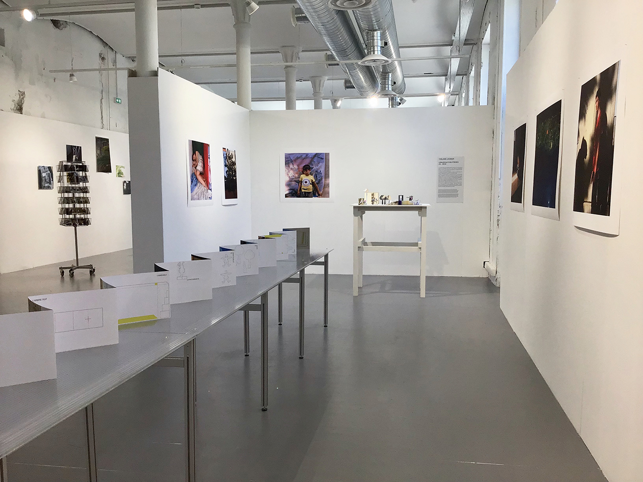 Palmier, Miroir, Perruche  Palmier, Miroir, Perruche