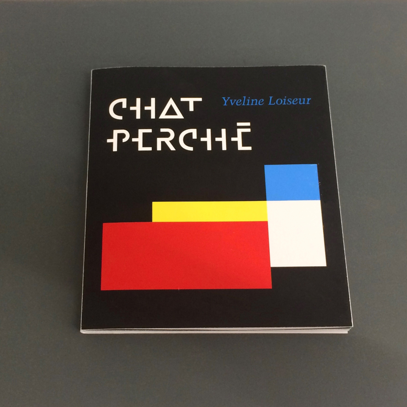 Chat perché