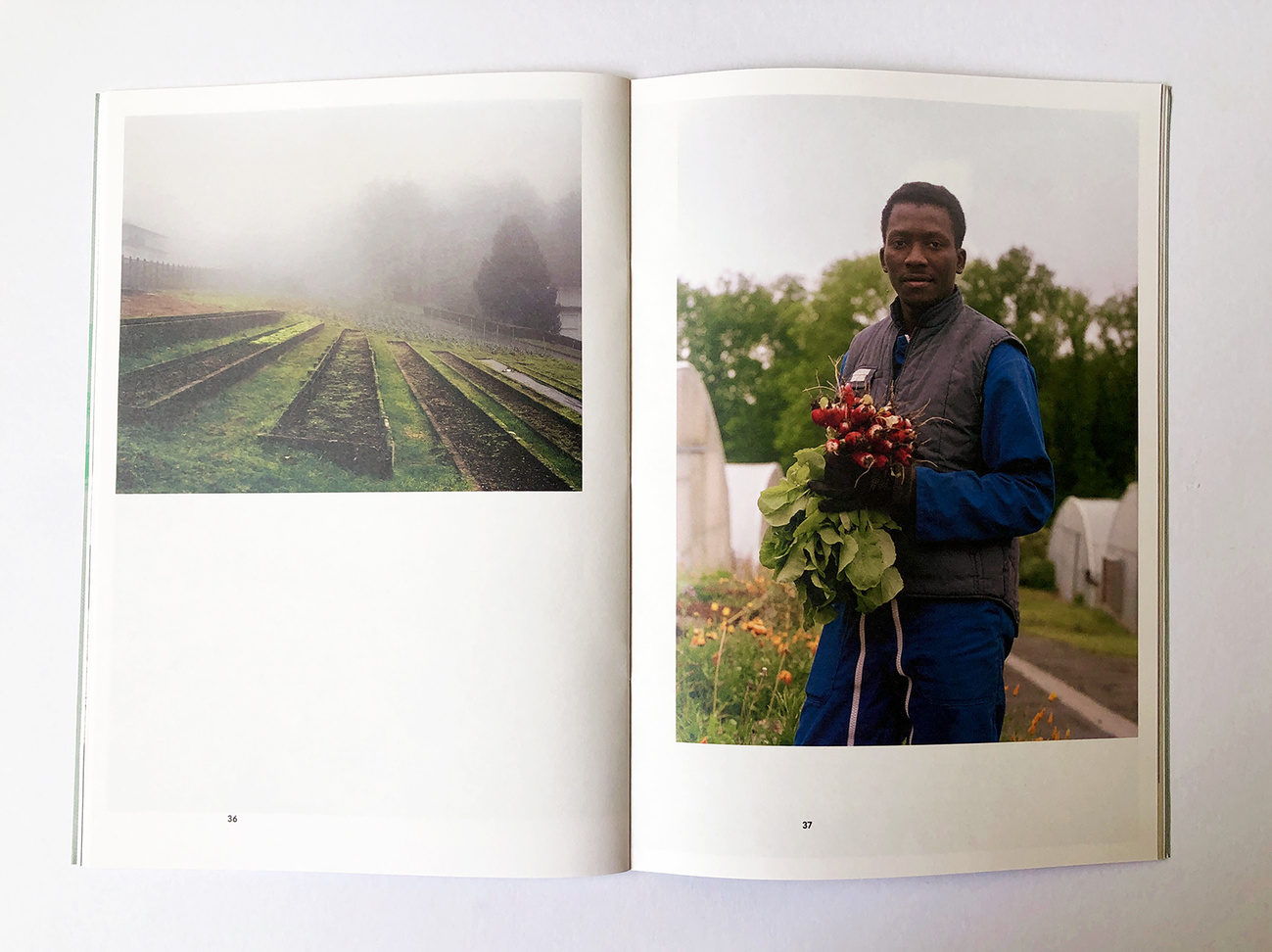 Clairvivre - Une cité de clarté, de travail et de gaité