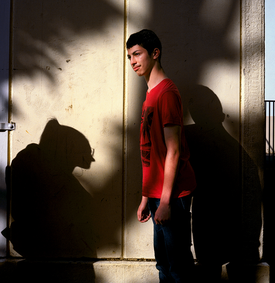 Palmier, Miroir, Perruche  Palmier, Miroir, Perruche