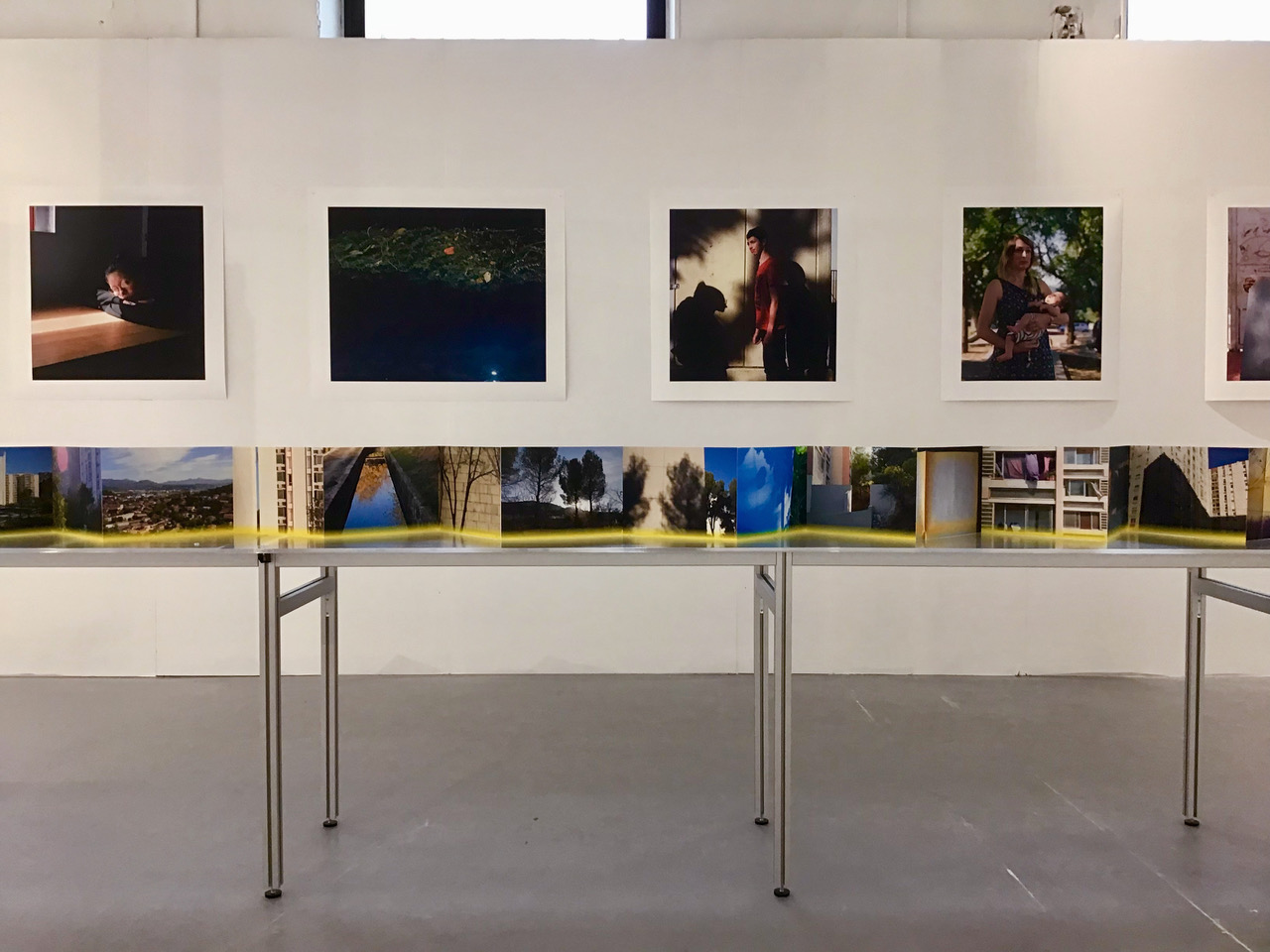 Palmier, Miroir, Perruche  Palmier, Miroir, Perruche