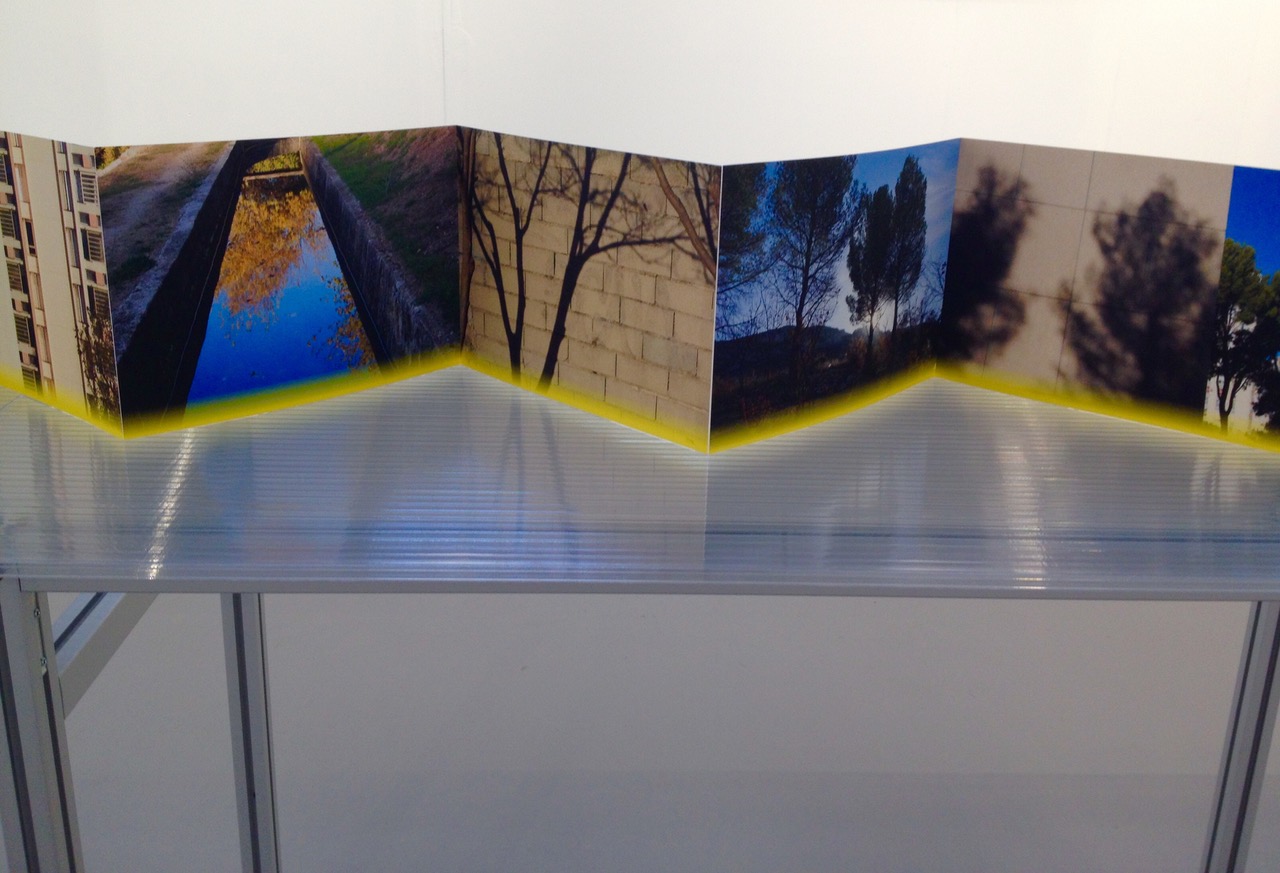 Palmier, Miroir, Perruche  Palmier, Miroir, Perruche