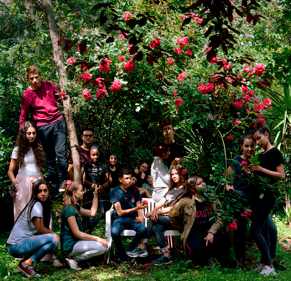 Palmier, Miroir, Perruche  Palmier, Miroir, Perruche