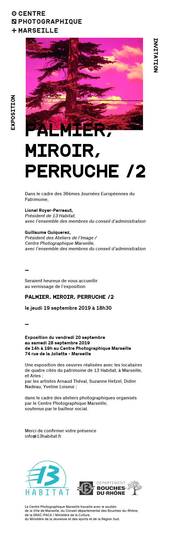 Palmier, Miroir, Perruche /2