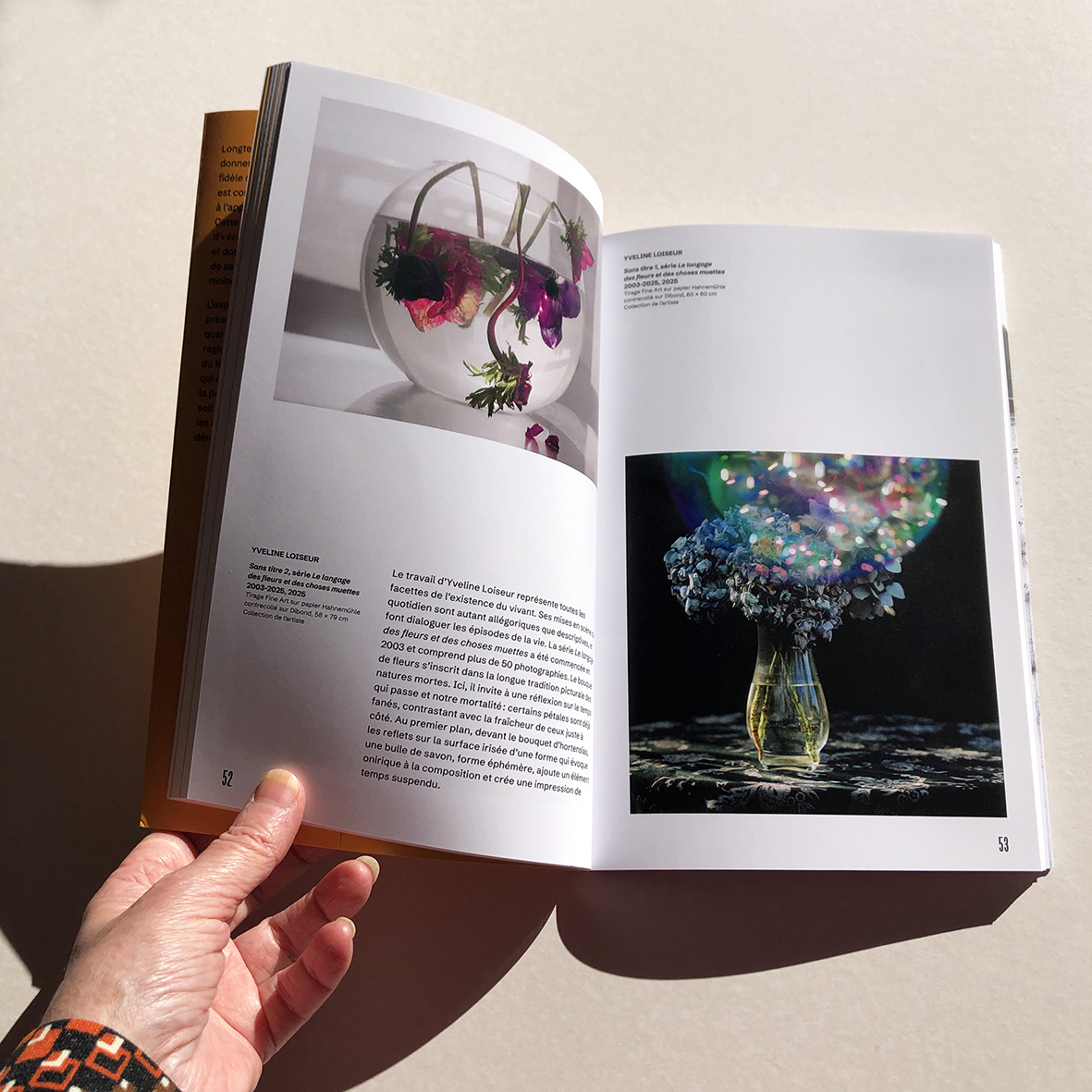 Regarder, révéler - Dialogue entre peinture et photographie