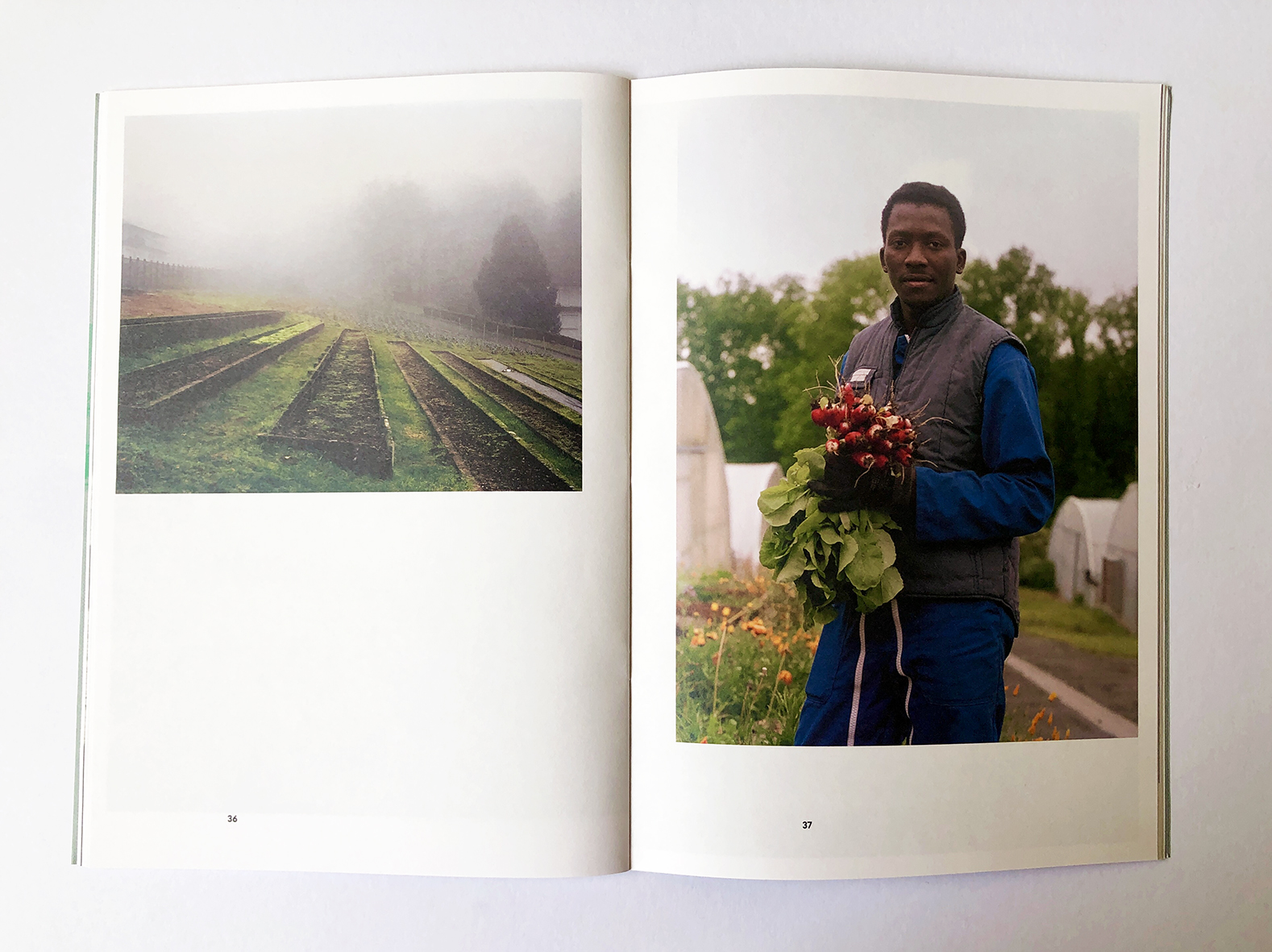 Clairvivre - Une cité de clarté, de travail et de gaité