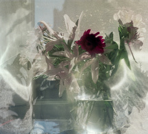 Les Pratiques de l’hospitalité