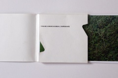 Haie: pages intérieures