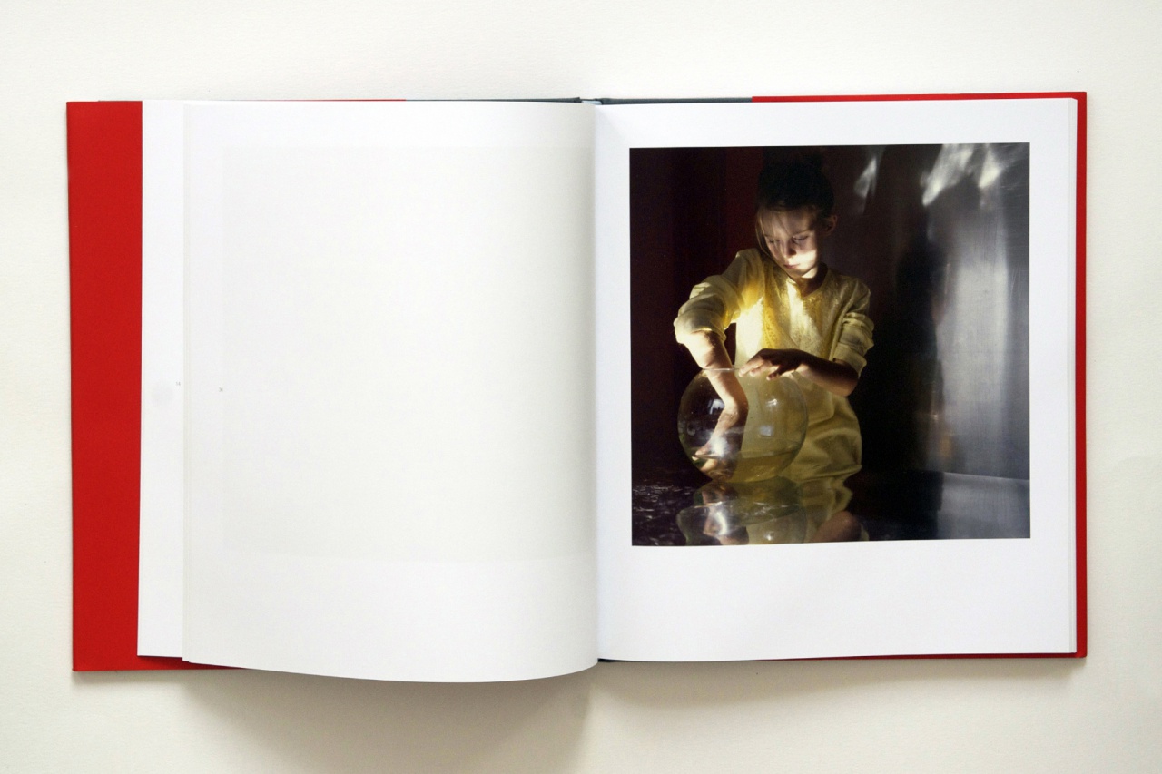 La Vie courante, Trans Photographic Press, 2011