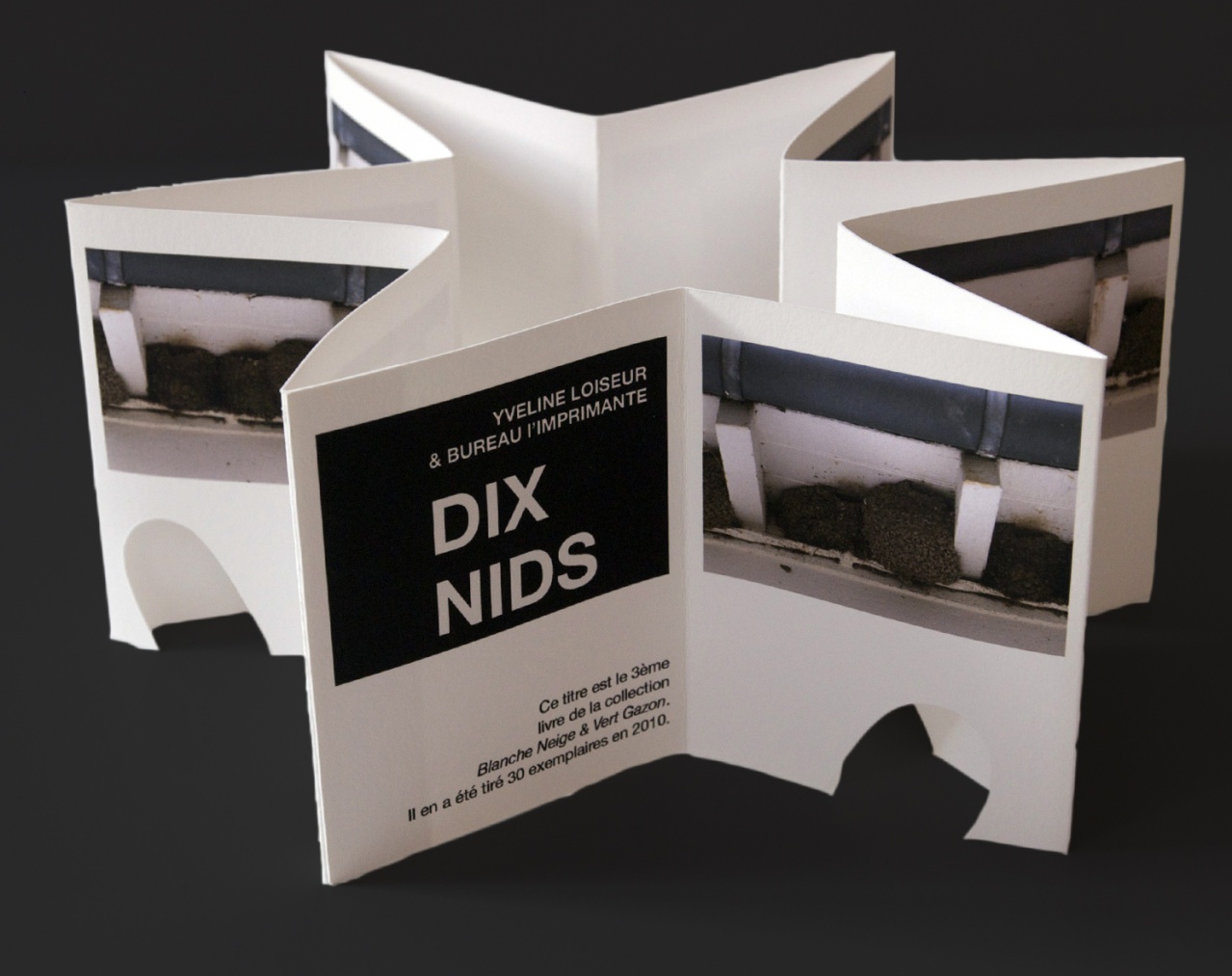 Dix nids: couverture